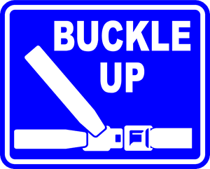 Lesson 1 - Buckle Up