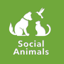 Lesson 6 - We Are Social Animals