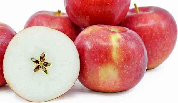20 outstanding apple Varieties 