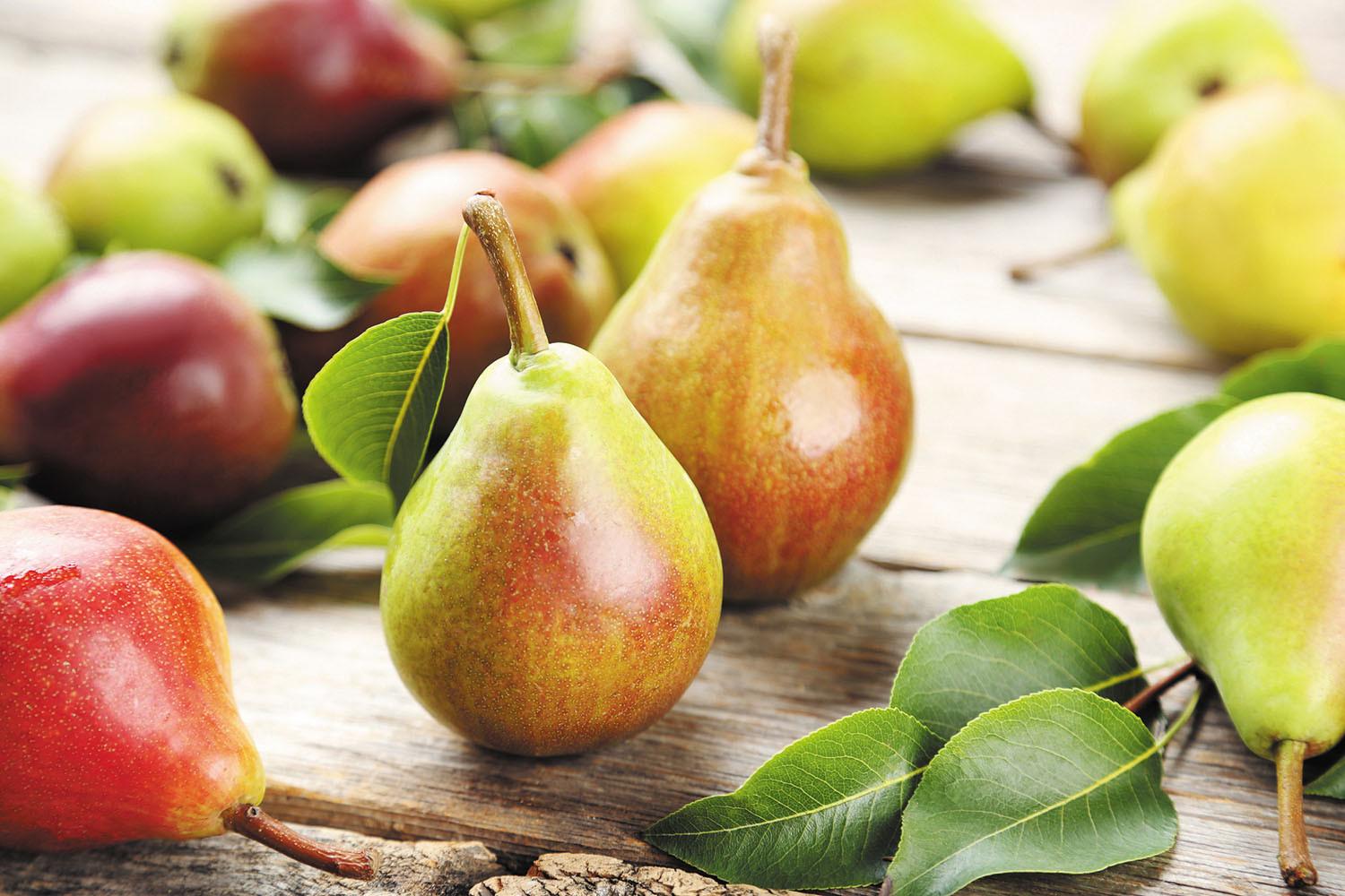 Wonderful benefits of pear or Nashpati