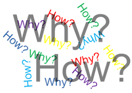 8. The "Why" and "How" Mindsets