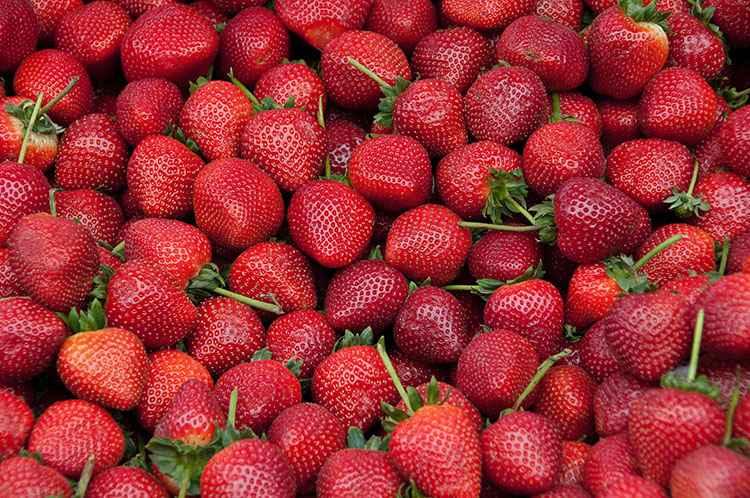 Health benefits of strawberries 