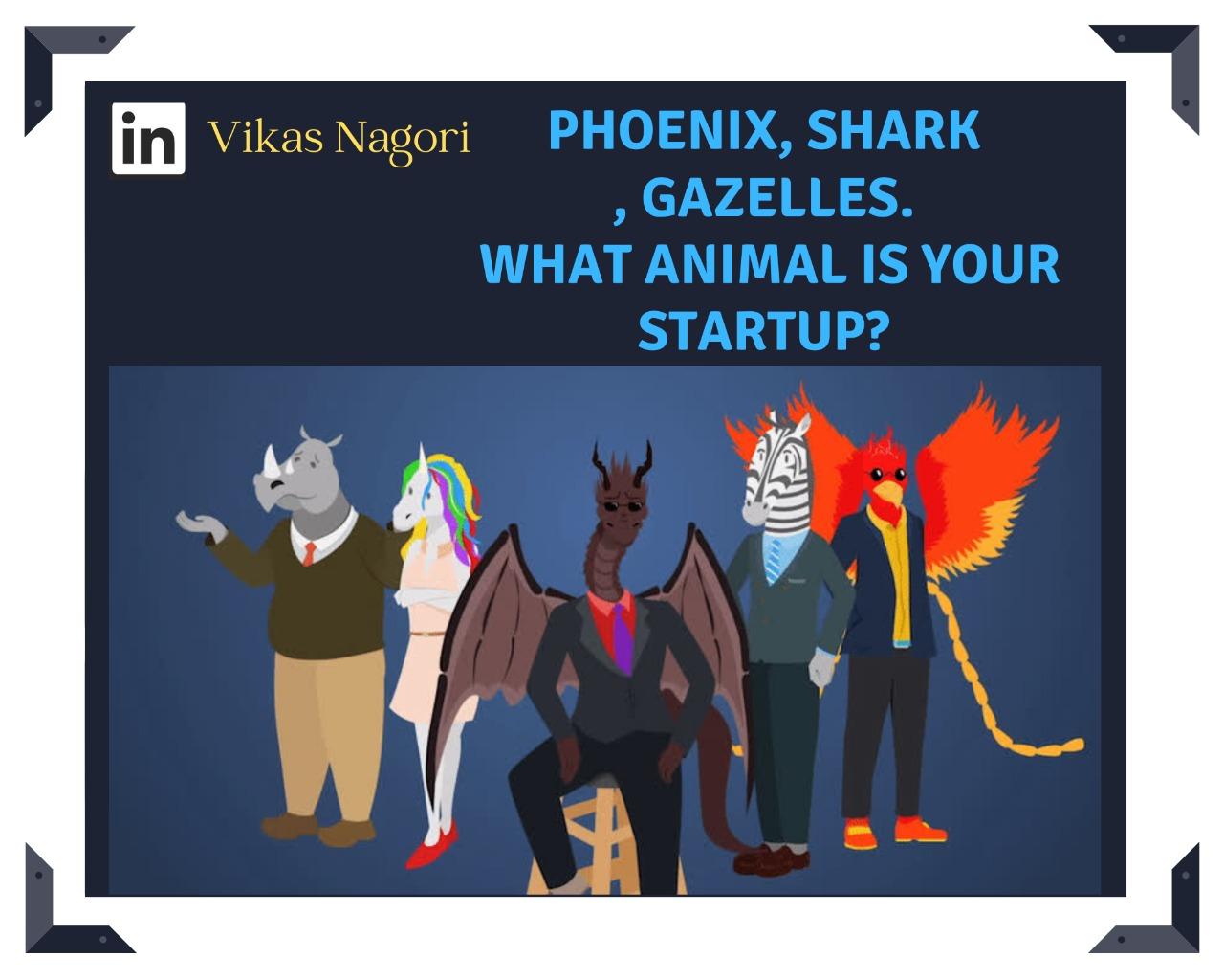 What animal is your Startup?