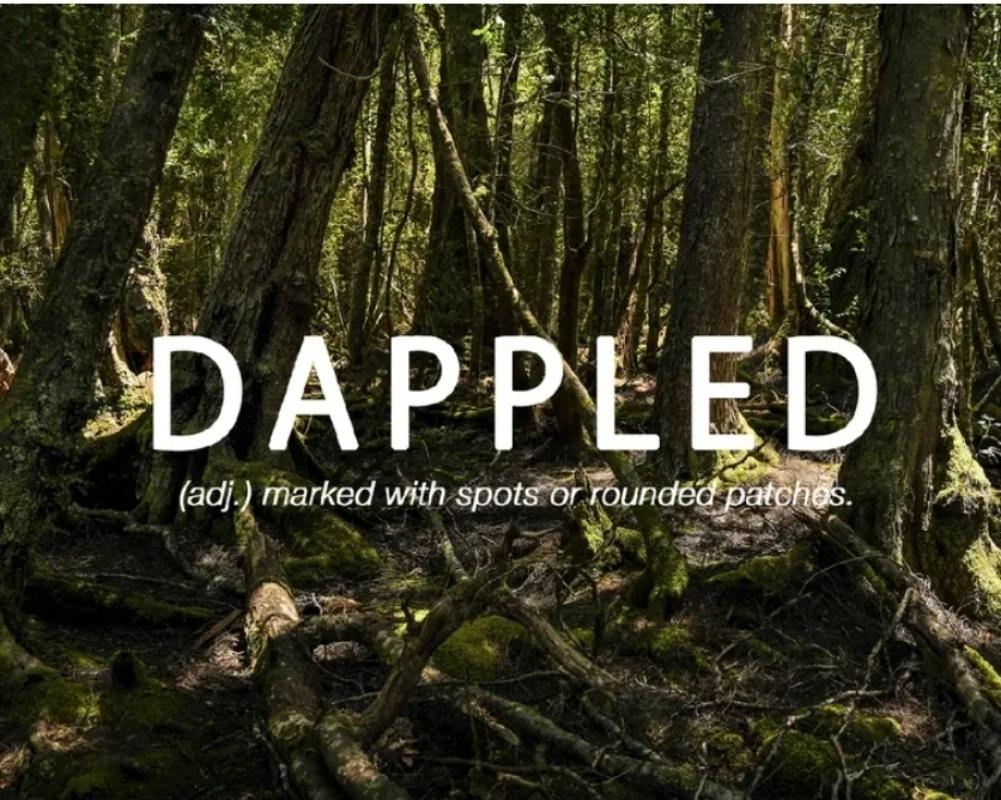 Dappled