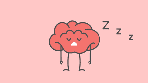 19. Our brains want us to be lazy.