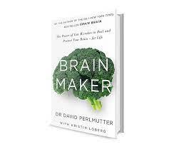 Brain Maker – Book Summary