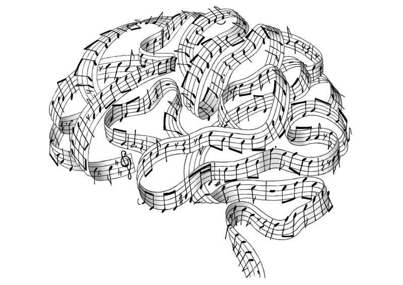 Music in the brain.