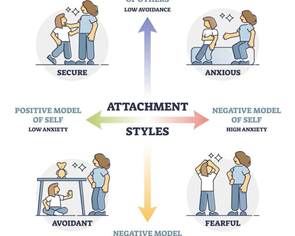 <p>An attachment style is a sp...