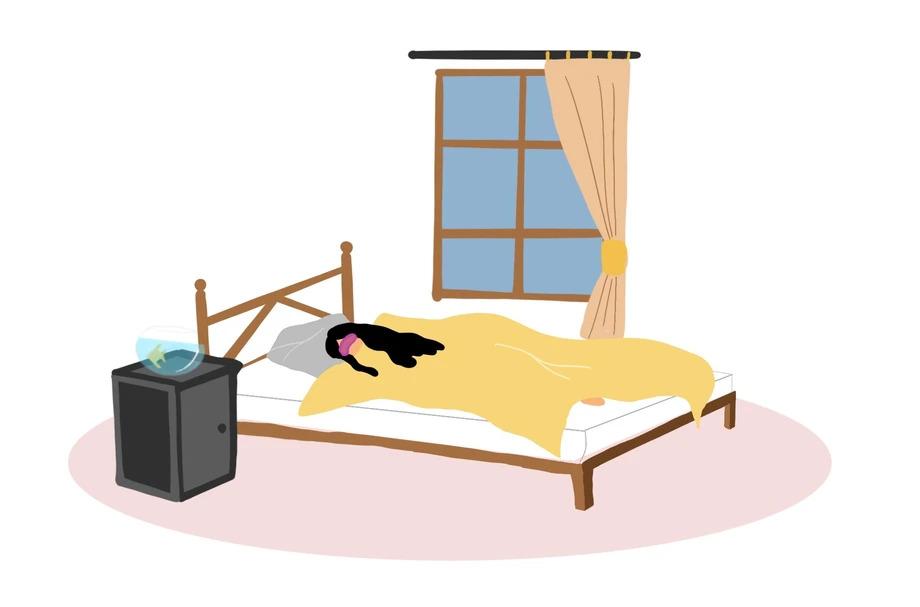 Tips on How to Improve Sleep Quality