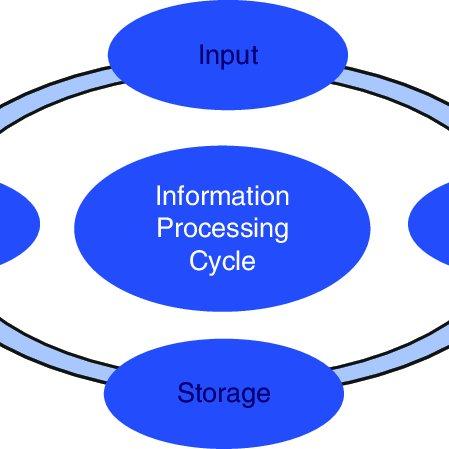 Process and Synthesize Information 