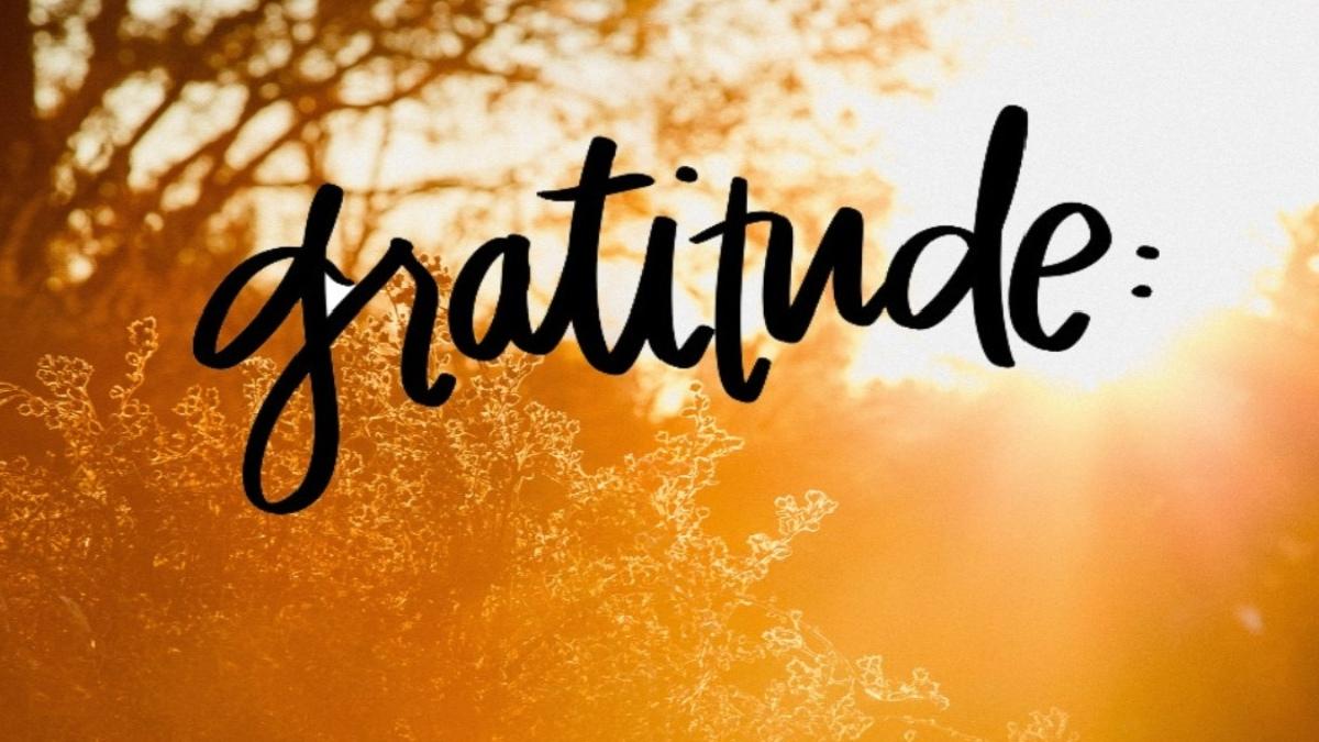 Gratitude Is the Key to a Peaceful and Contented Life