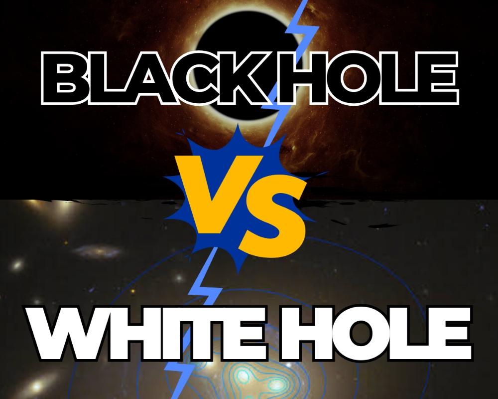 Black Hole Vs. White Hole 