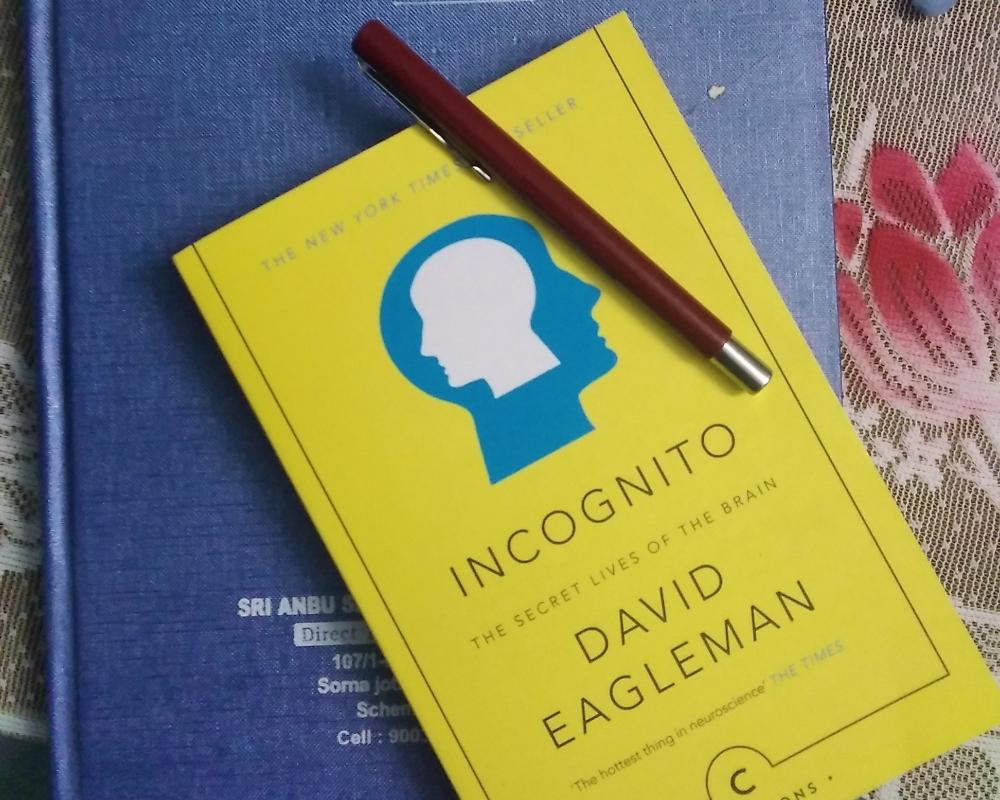 Incognito By David Eagleman 