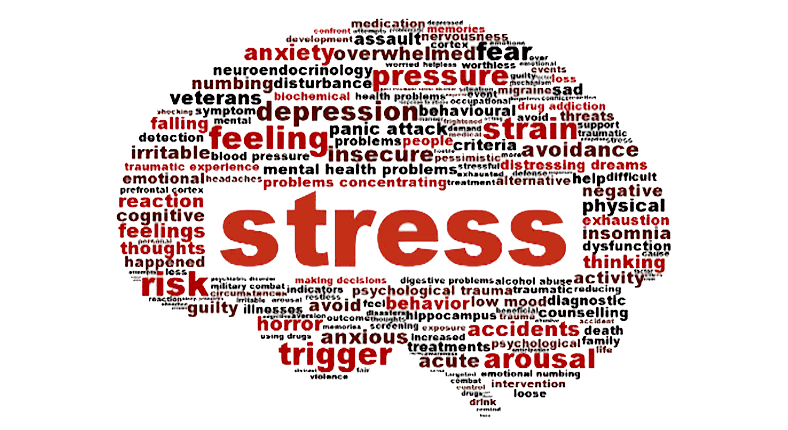 Flow and Its Relationship With Stress