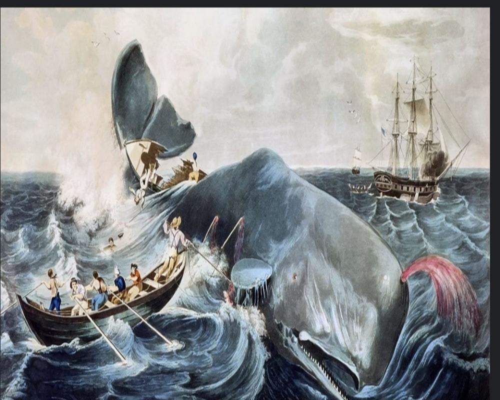 The Meaning Behind Moby Dick