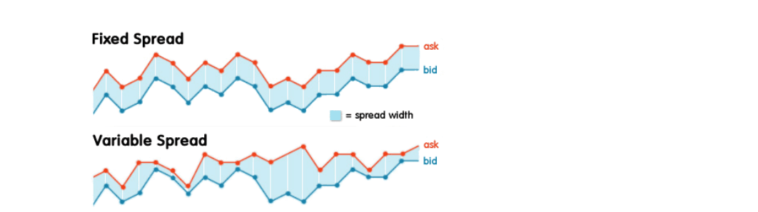 What Types of Spreads are in Forex?