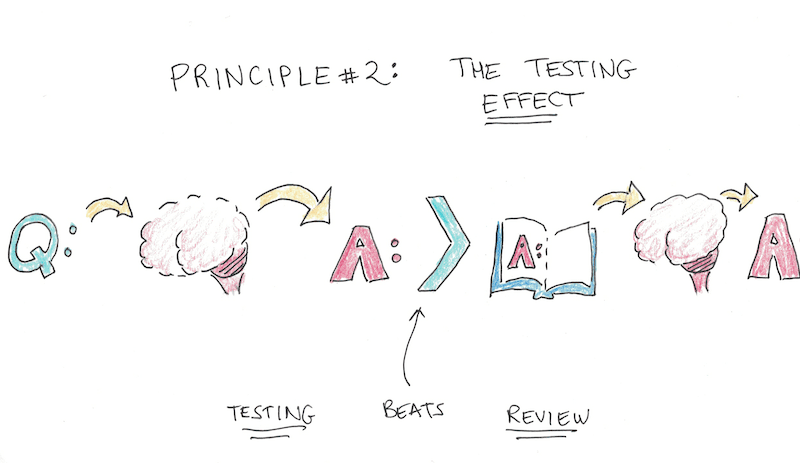 The Testing Effect