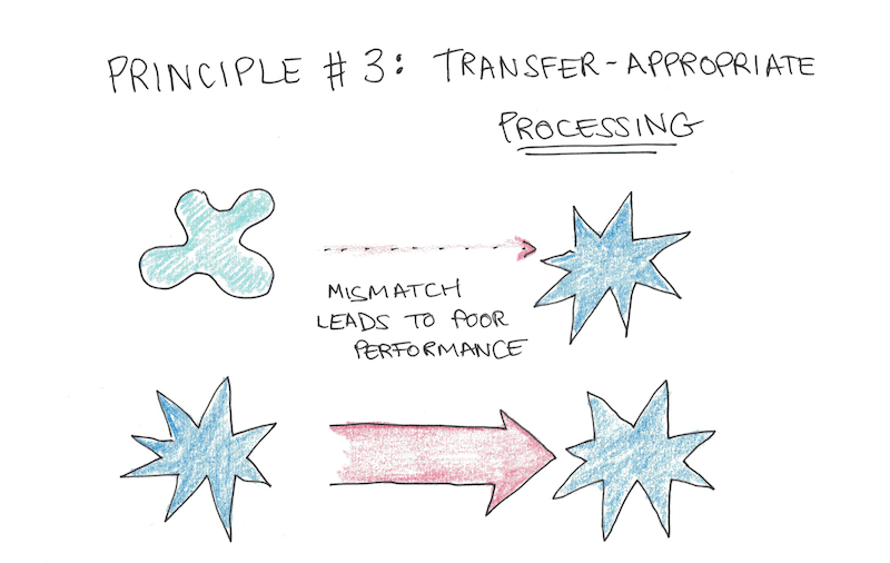 Transfer-Appropriate Processing (TAP)
