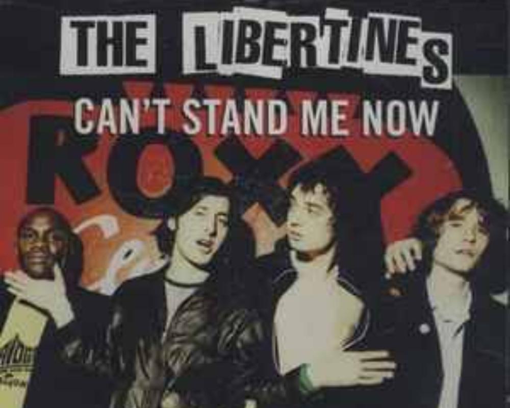 The Libertines - Can't Stand Me Now (2004)
