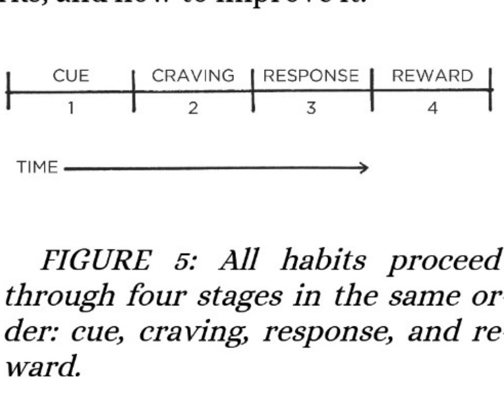 The Four Stages Of Habit Build