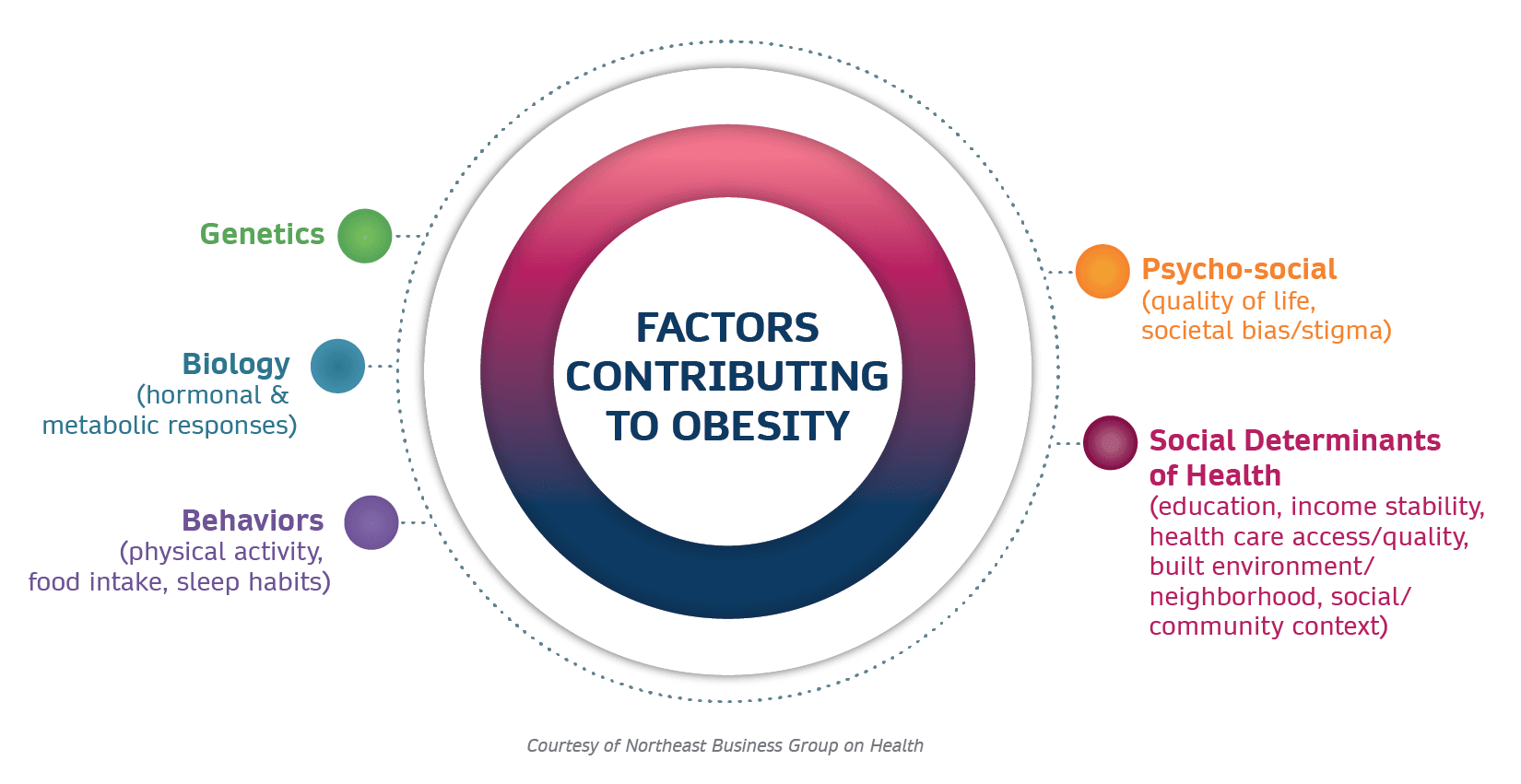 7.Social Factors Contribute to Obesity