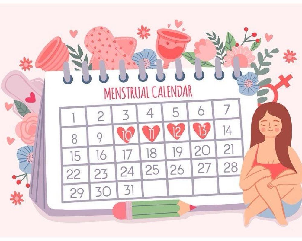 The Importance Of Menstrual Cycle