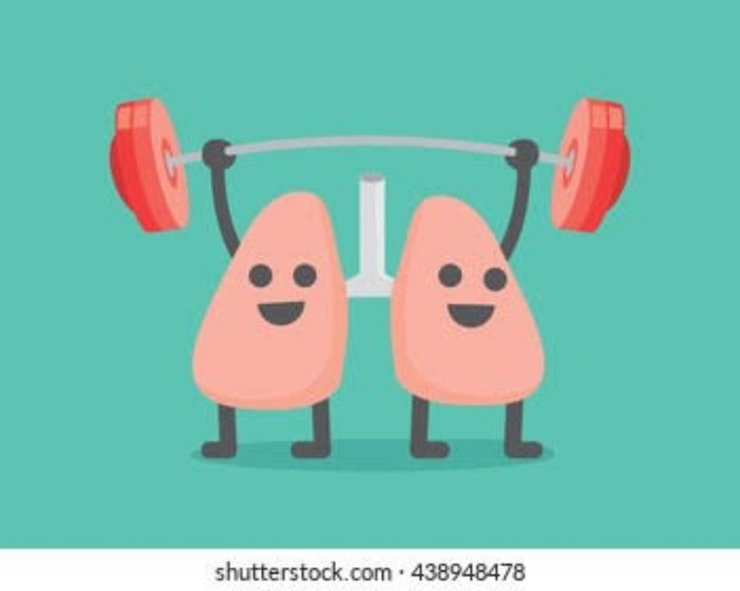 Lungs are weight-regulating system of the body