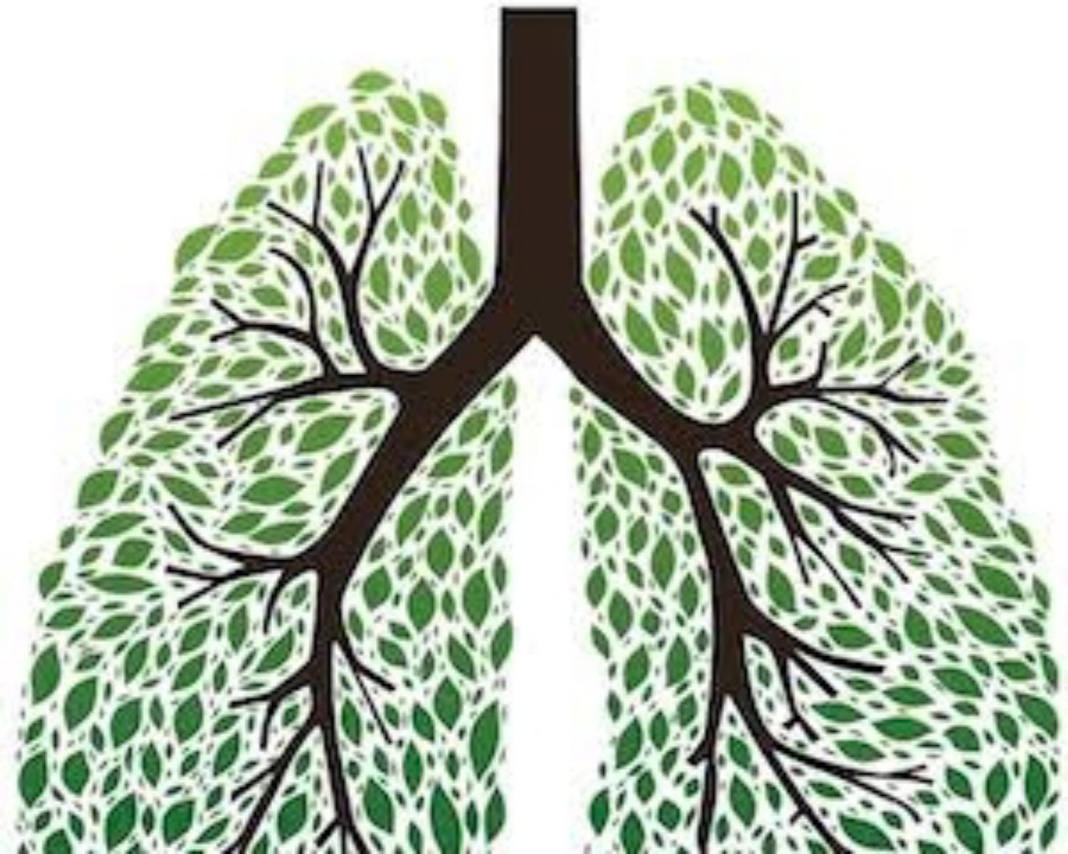 Lung capacity determines how long you will live 