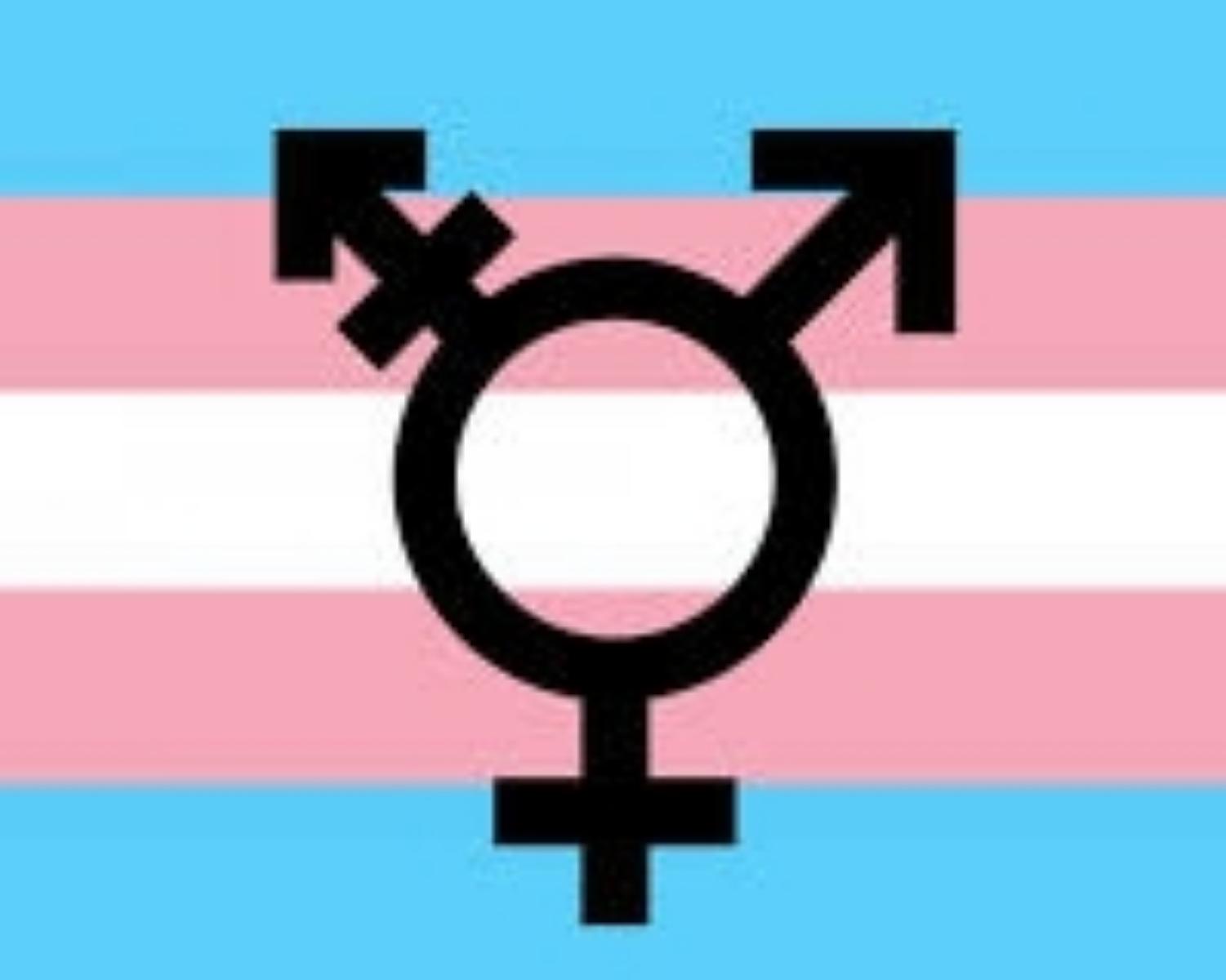 Gender Transitioning