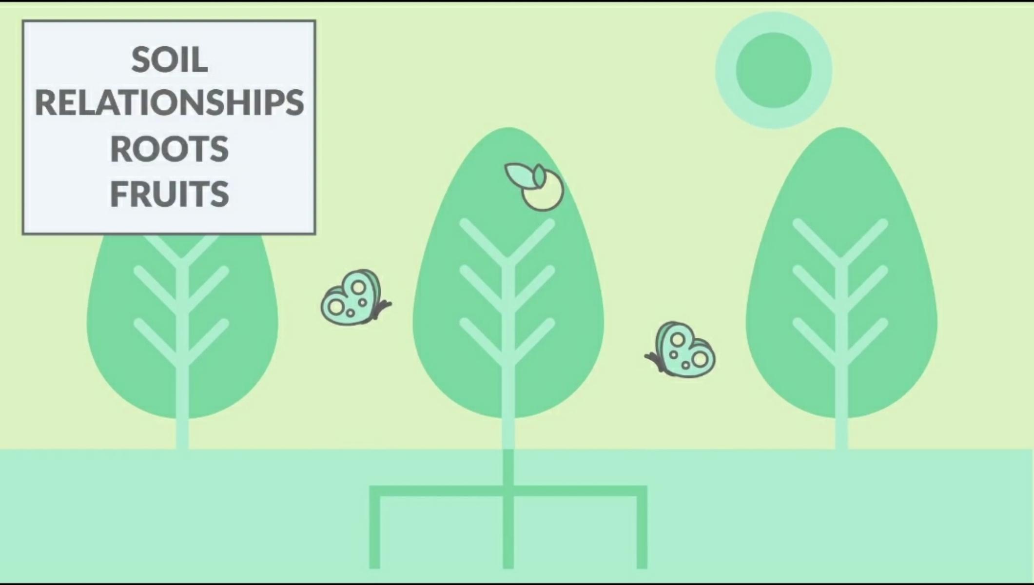 The Forest-Tree Relationship Model