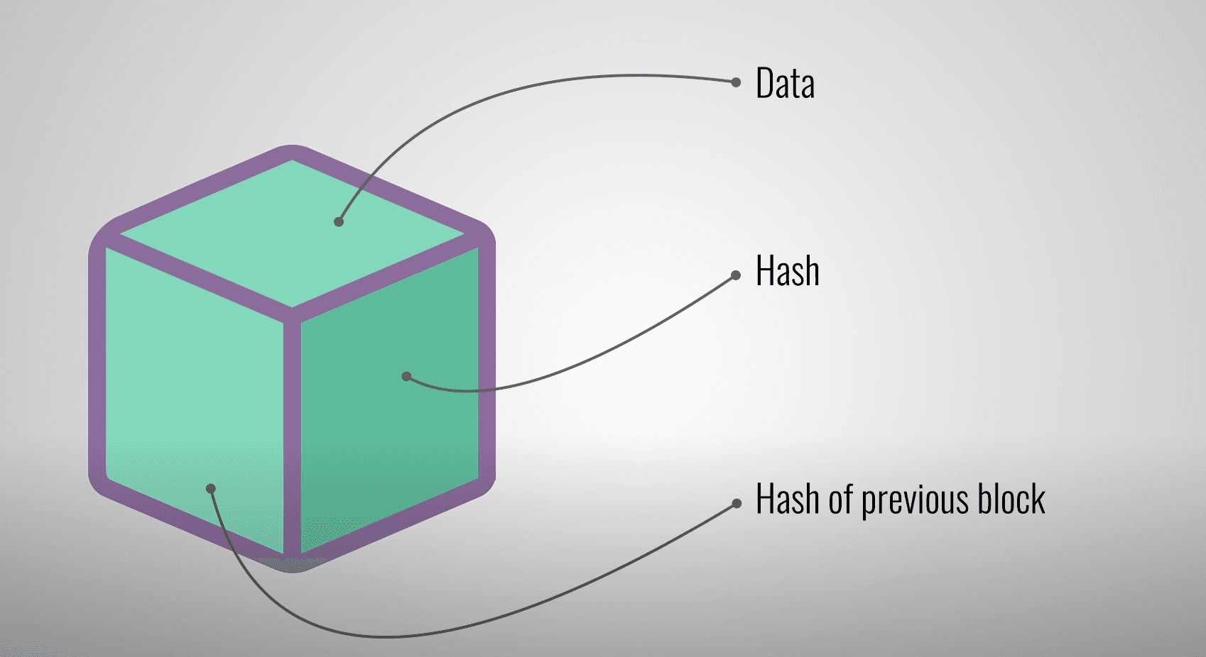 What's in a Blockchain BLOCK?