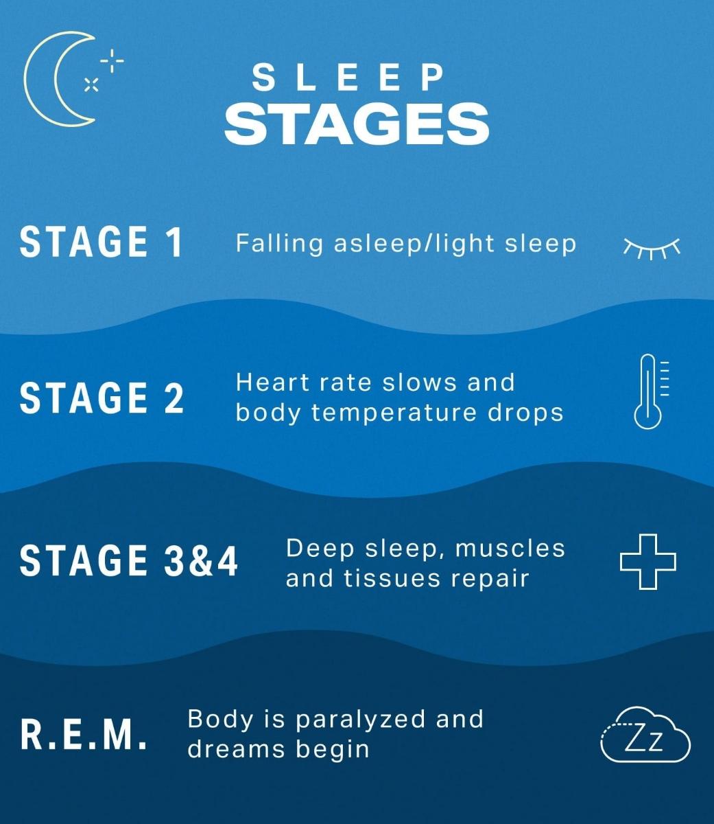 Different sleep stages.