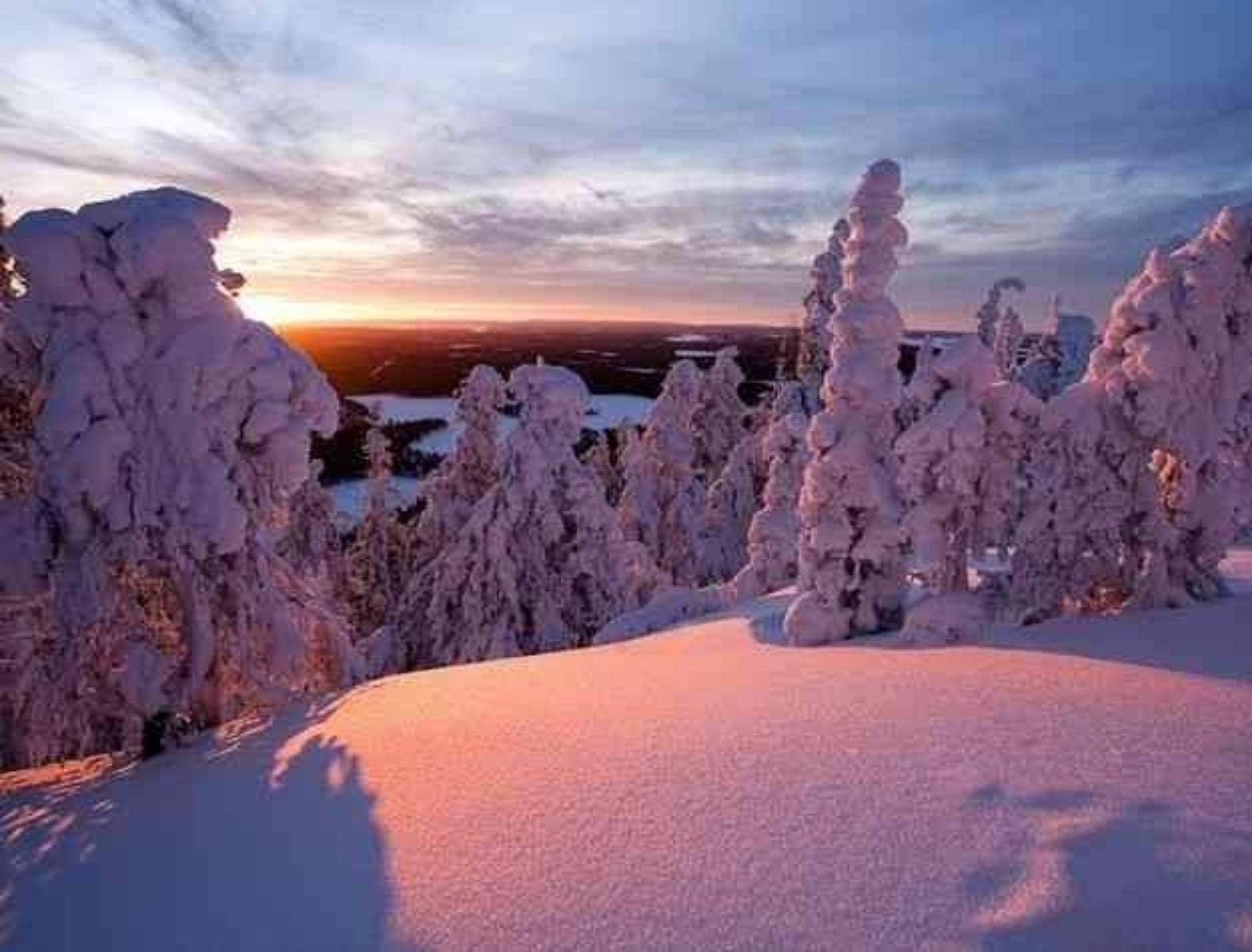 1. The ‘Finnish Lapland‘ where the trees look like snow covered