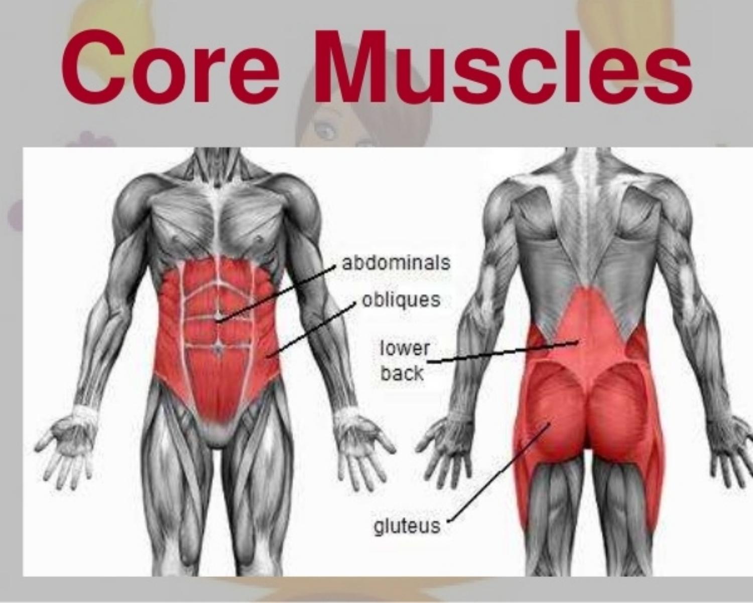 The Functions of Core Muscles