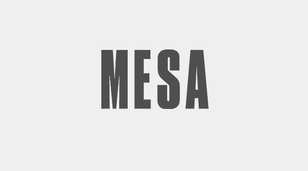 MESA – a method to solve work complex problems quick