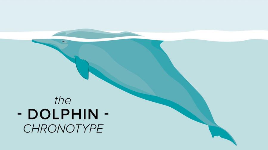 Characteristics of a Dolphin