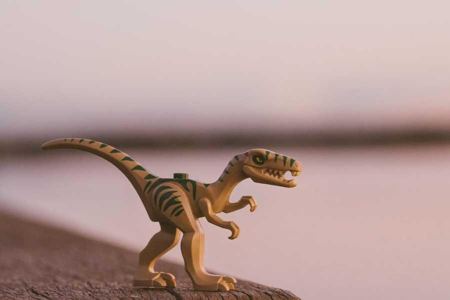 Dino-DNA Could Reconstruct A Dinosaur!