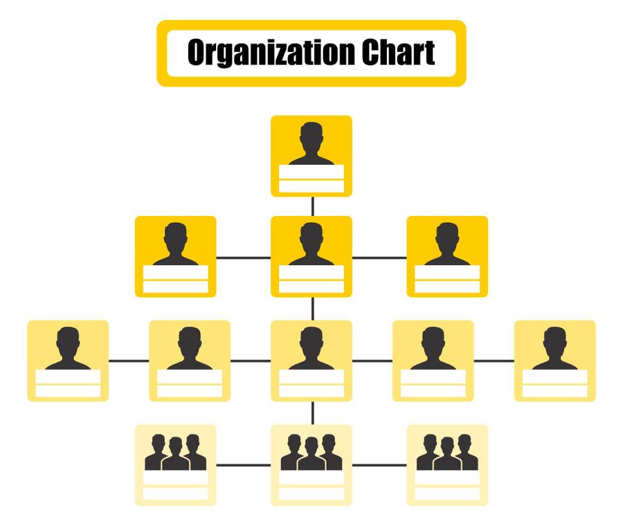 The Traditional Organization Chart