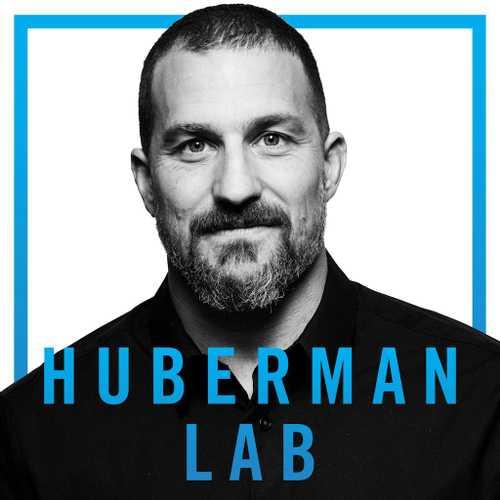 Optimizing Workspace for Productivity, Focus, & Creativity | Huberman Lab Podcast #57