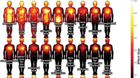 Mapping love: How 27 different types of love manifest in the body