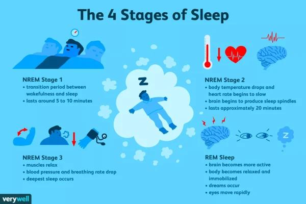 The 4 Stages of Sleep