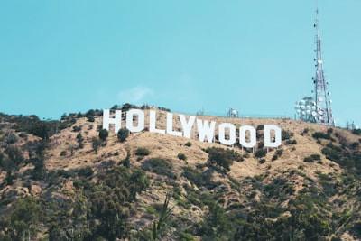 Why Hollywood loves lawyers