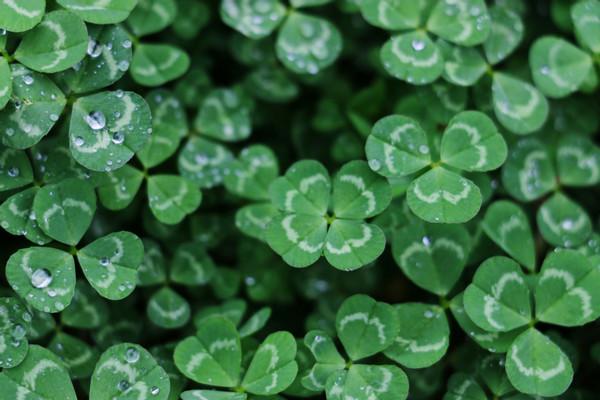 The psychology of luck: how superstition can help you win