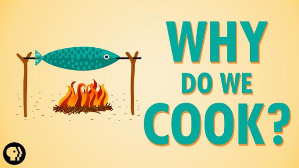 Why Do We Cook?