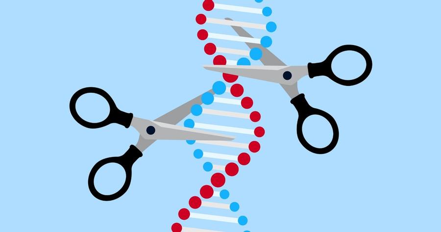 How does gene editing work? (simplified)