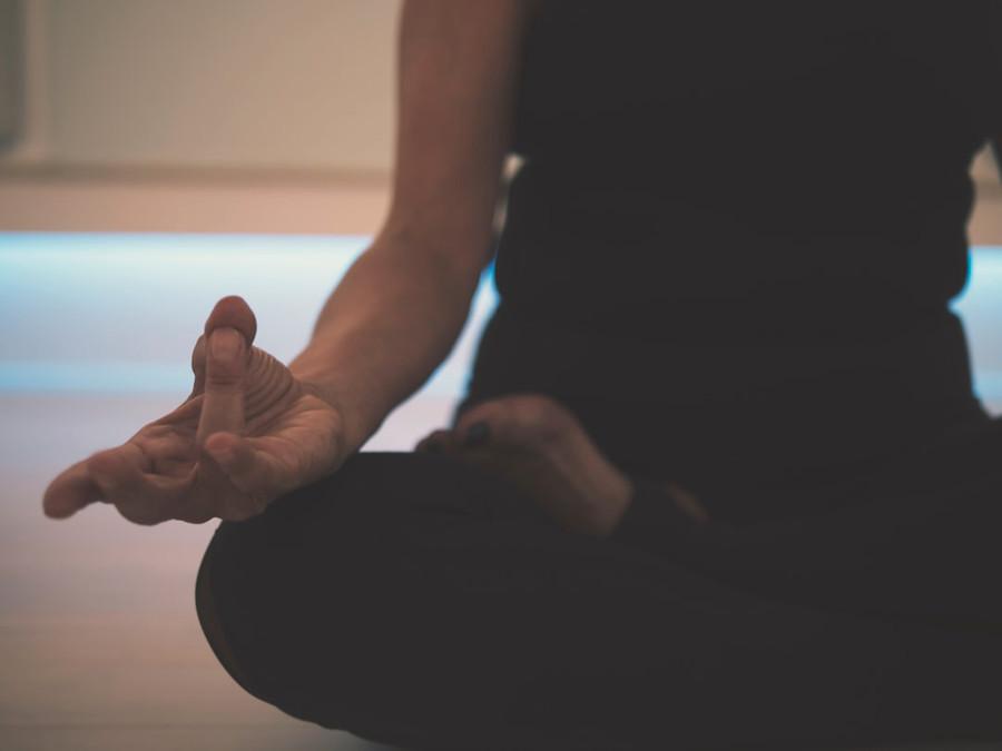 Taming The Mind Through Meditation 