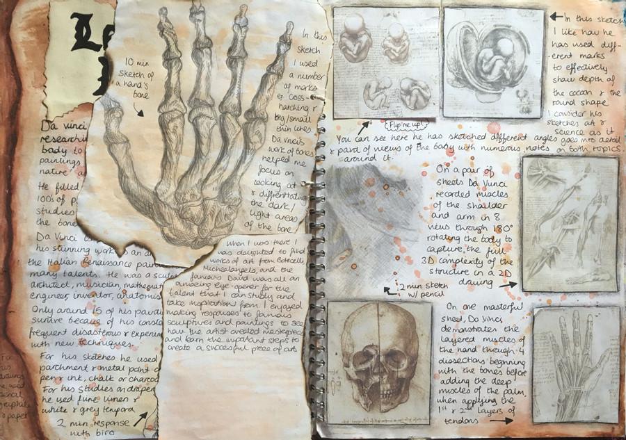 The Sketchbooks Of Da Vinci