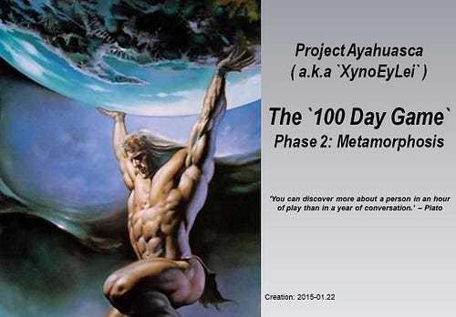 The `100 Day Game`, Phase 2 (`Metamorphosis`)