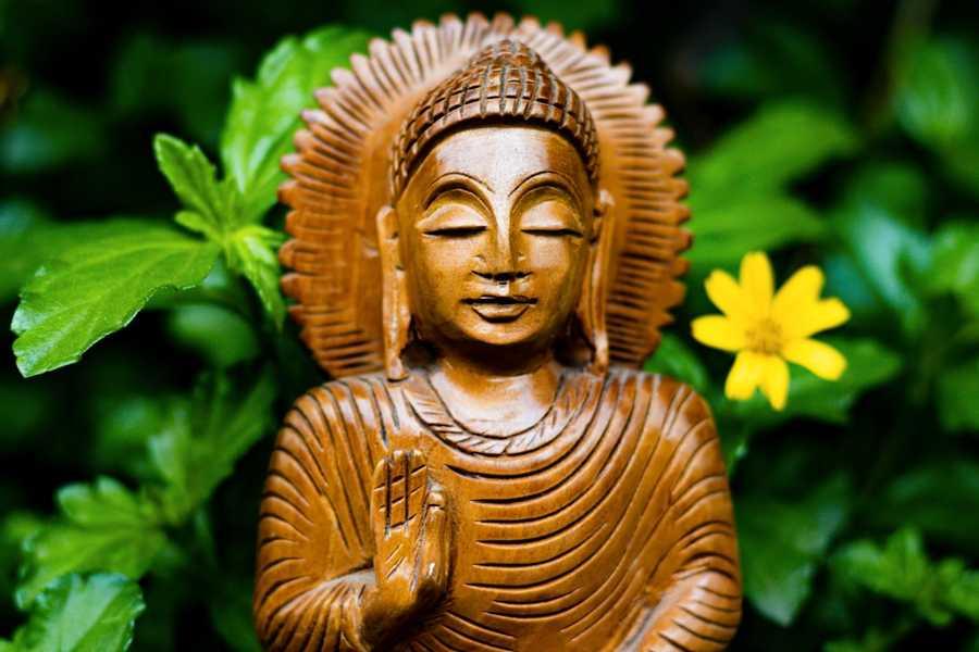 Teachings of Lord Budhha