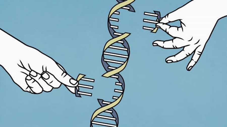 Scientists decipher the complete human genome & found new genes.